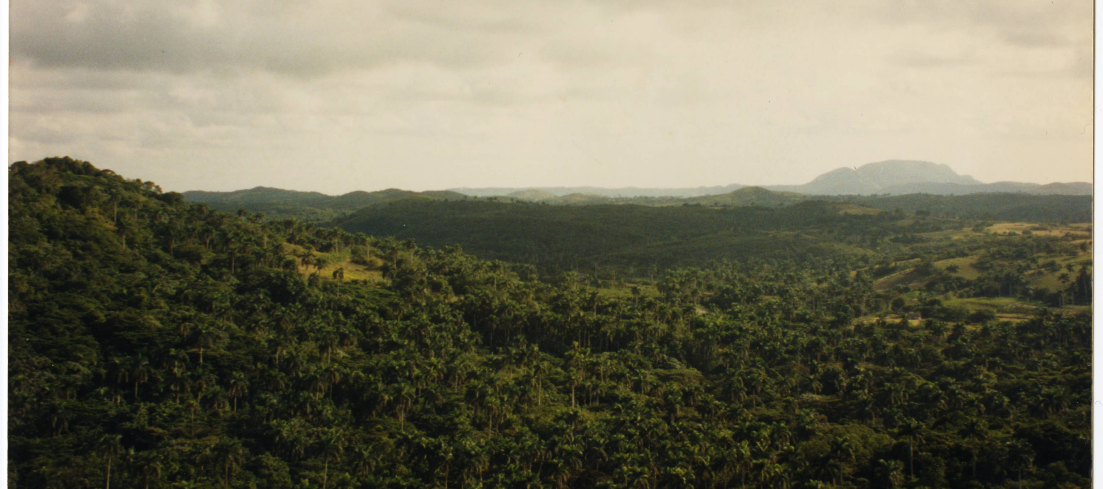 Yumurí Valley in the Matanzas Province, Cuba, 1993. Cuban Photograph Collection. Cuban Heritage Collection, University of Miami Libraries.