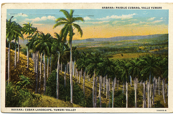 Paisaje Cubano, Valle Yumurí, Habana, undated. Cuban Postcard Collection. Cuban Heritage Collection, University of Miami Libraries.